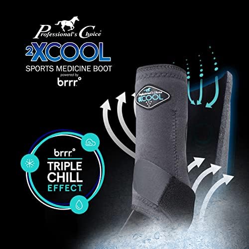 Choice's Choice's 2xcool Sports Sports Sole Shorts Bouts | עיצוב מגן ונושם לנוחות אולטימטיבית, עמידות וקירור אצל סוסים פעילים | 2 חבילה